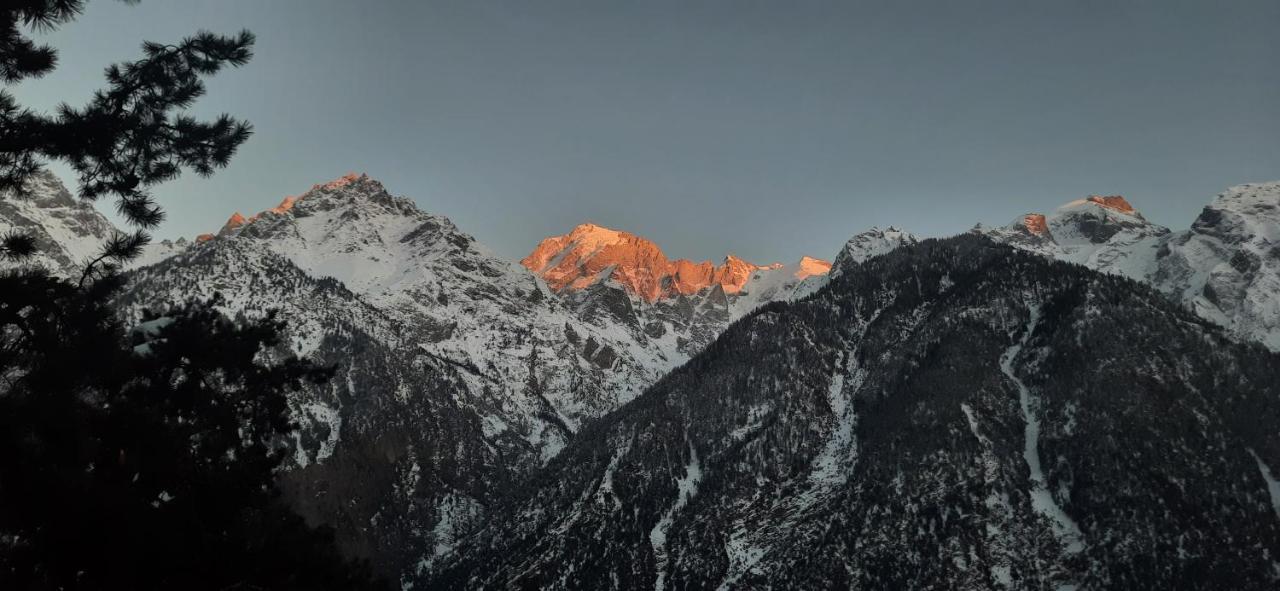 Wanderers Homestay -All Mountain Facing Rooms Kalpa Luaran gambar