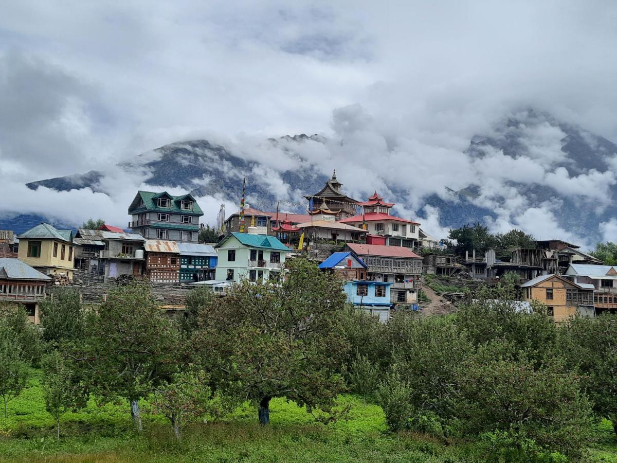 Wanderers Homestay -All Mountain Facing Rooms Kalpa Luaran gambar