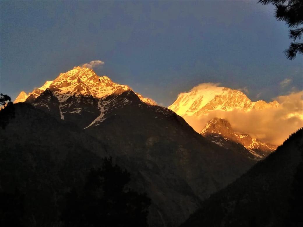 Wanderers Homestay -All Mountain Facing Rooms Kalpa Luaran gambar